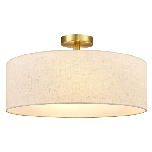50 Ceiling Light Fixture