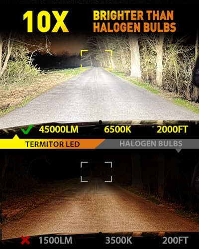 2026 Upgraded H11 Light Bulbs (H11)