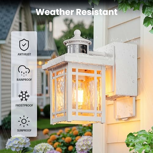 White Outdoor Porch Light with Outlet (White / 2-pack)