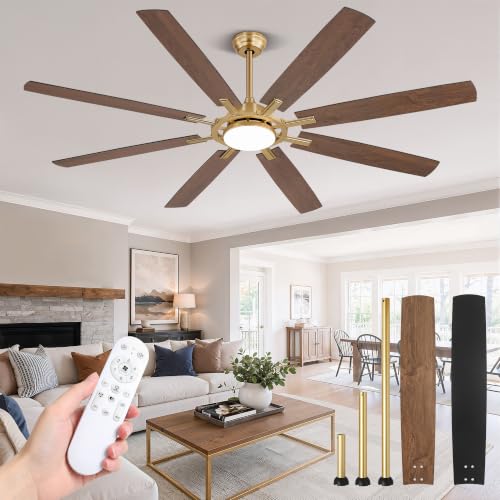 Large Ceiling Fans with Lights