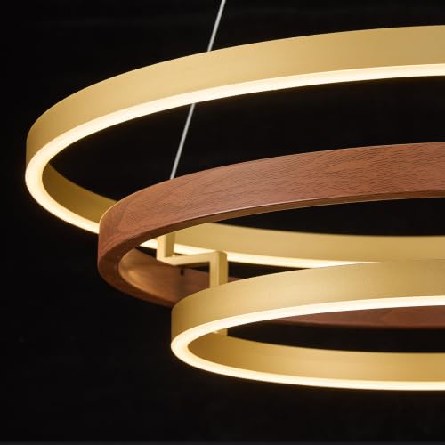 Ring LED Chandelier Modern Chandeliers Dimmable