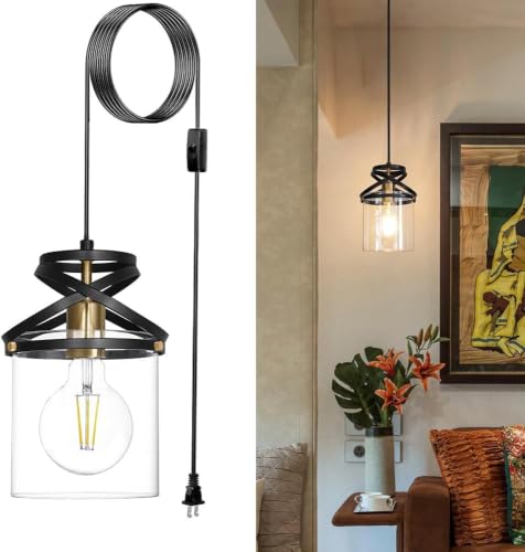 Wire Cage Pendant Light with Adjustable Cable Set of 2