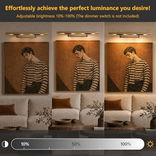 30 inch Picture Light Hardwired Bronze Picture Light for Wall (Bronze / 30in)