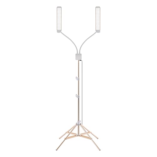 Elite X Portable LED Lighting Kit for Eyelash Extension