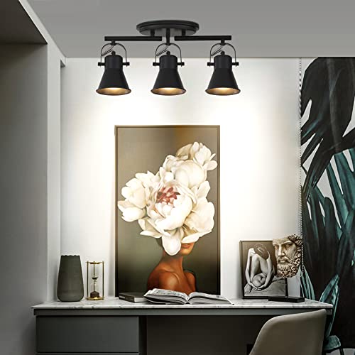 3 Light Track Lighting Kit (3-Light / Black)