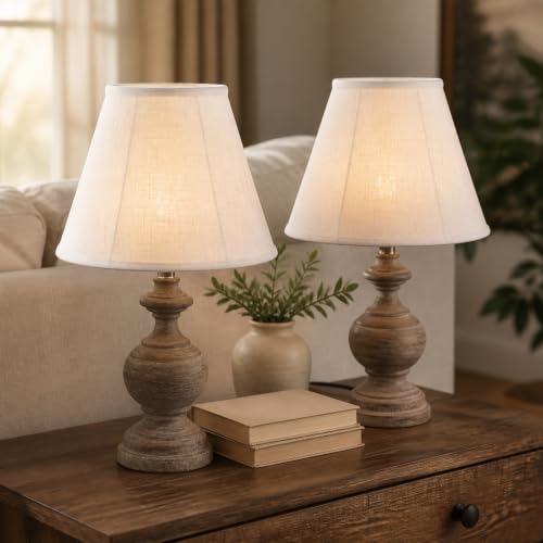 Lamp Shades Set of 2