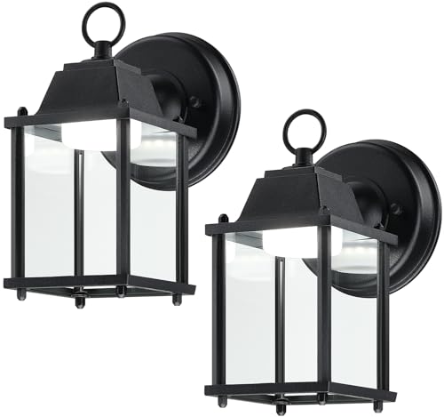 Outdoor Wall Light Fixture (5000K Black / 2-pack)