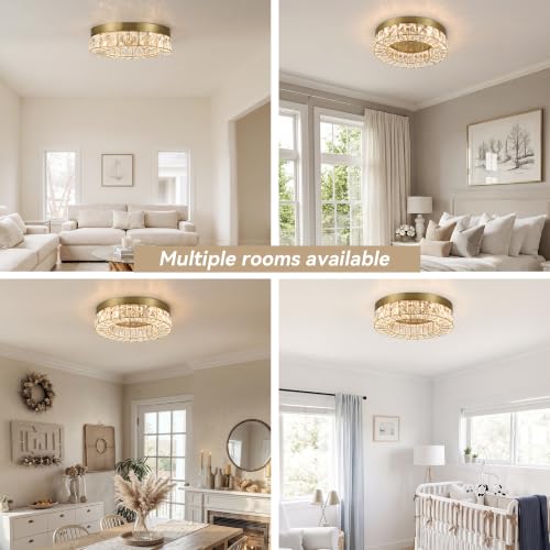 Crystal LED Flush Mount Ceiling Light Fixtures Modern Solid Gold LED Chandelier Lighting for Kitchen Closet Hallway Bedroom Foyer Laundry Room (14" Flush Mount GD)