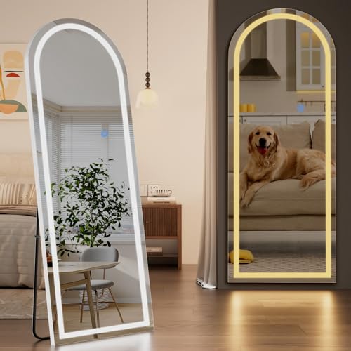 Full Length Mirror with LED Lights 65"x26" with Dimming & 3 Color Lighting (Standing Mirror-arched / 65"L x 26"W)