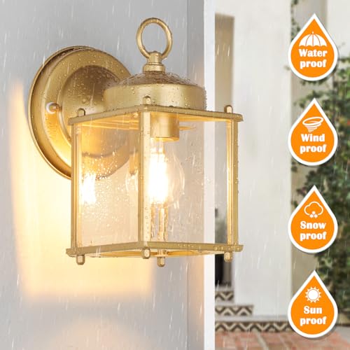 Outdoor Wall Lantern (Gold / 8.27 inch)