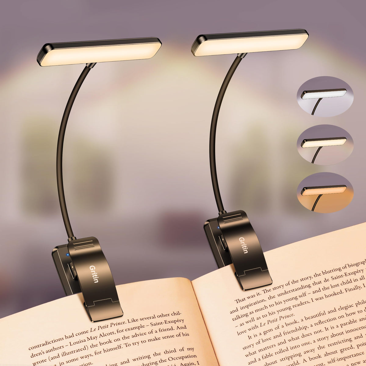 2 Pack 19 LED Rechargeable Book Light for Reading in Bed (Black)