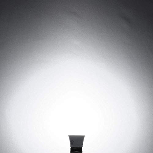 A19 LED Light Bulbs 100 Watt Equivalent Dimmable