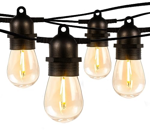 S14 Outdoor String Lights (50 ft S14)