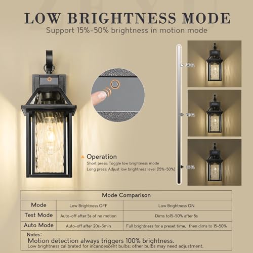 Motion Sensor Porch Light (Black - Water Ripple Glass / 15.8 Inch - Motion Sensor)