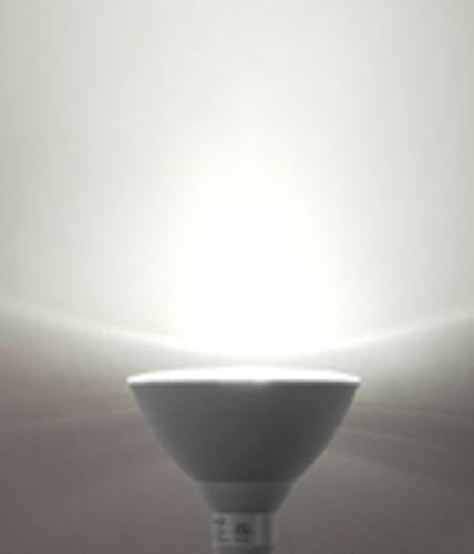 LED PAR38 Flood Light Outdoor Bulb