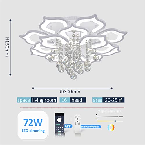 Modern Ceiling Light
