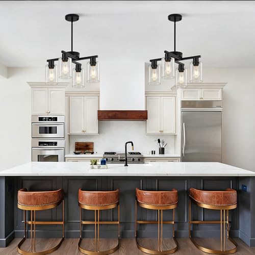 4 Light Black Farmhouse Chandelier (Black / 4-Lights/D18 '')