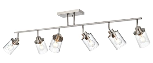 6 Light Directional Track Lighting Kit (Brushed Nickel / 6-Light)