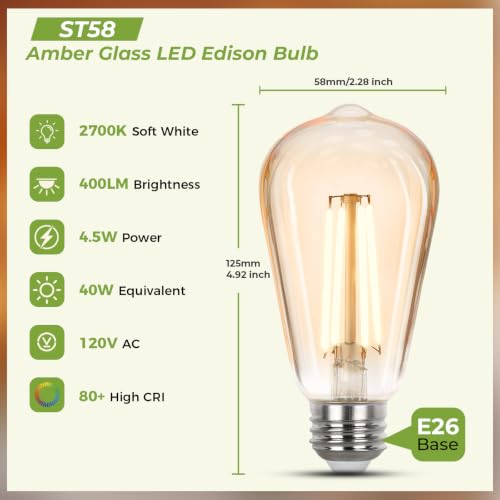 Vintage LED Edison Bulbs