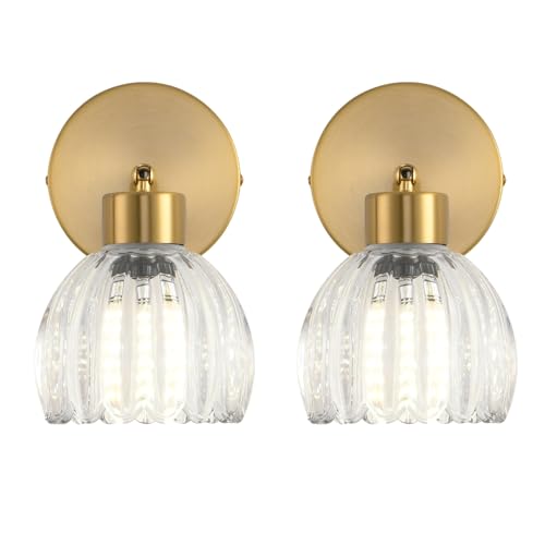 Metal Sconces Wall Lighting with Clear Glass Shade