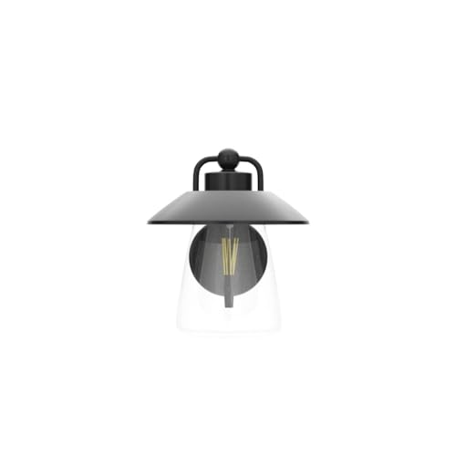 Outdoor Indoor Wall Lantern (Black / 1 Pack(No Dusk to Dawn))
