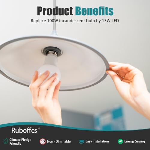 A19 LED Light Bulbs (2700k Soft White)