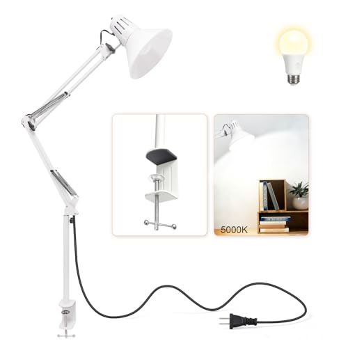 LED Desk Lamp with Clamp