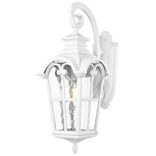 1 Light Modern Outdoor Porch Light Fixture (White - Water Glass / 24.9 Inch - No Function)