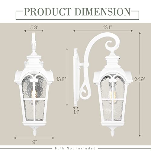 1 Light Modern Outdoor Porch Light Fixture (White - Water Glass / 24.9 Inch - No Function)