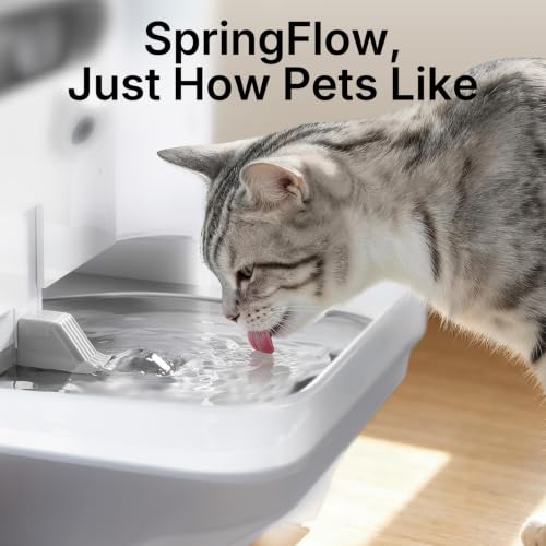 Eversweet Ultra Cat Water Fountain with AI Camera
