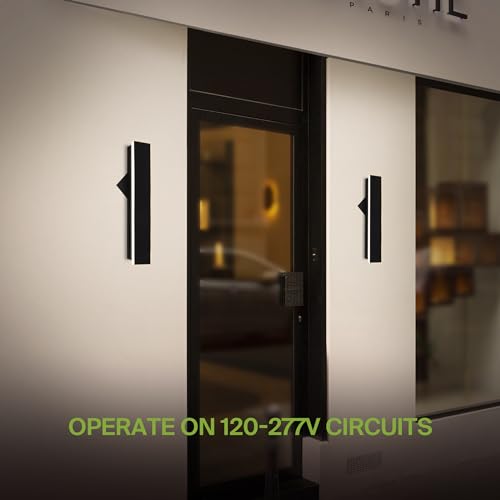 18" LED Linear Wall Sconce (Black)