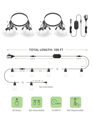 ZB1 AI Smart Outdoor String Lights (100 FT)