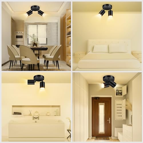 LED 2 Light Track Lighting Kit (2 Light-Black)