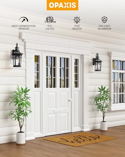 Motion Sensor Outdoor Wall Lights (Black / 1-pack)