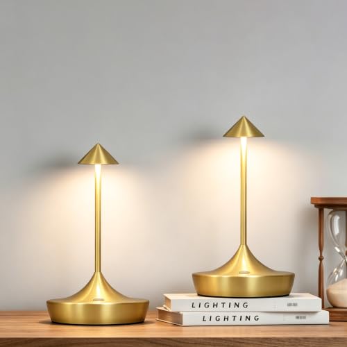 2 Pack Cordless Rechargeable LED Table Lamps