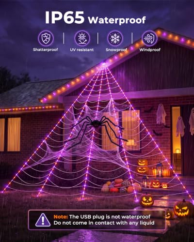 Halloween Decorations Outdoor (Orange & Purple)