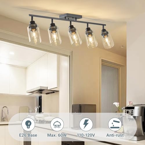 5 Light Kitchen Track Light Fixtures Ceiling Vanity Lights Black (Black / 5-Light)
