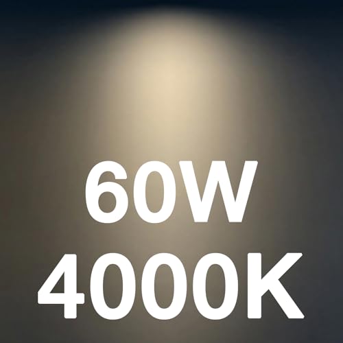 ST19 60W Led Bulbs