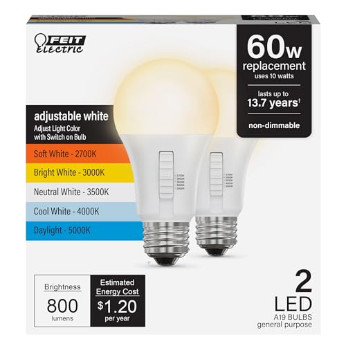 A19 LED Light Bulb