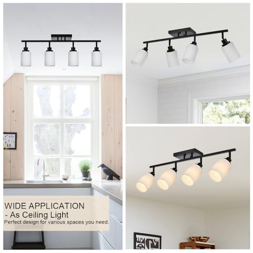 Adjustable Ceiling Spotlight in Black (Black / 4-Lights)