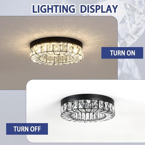Crystal LED Lighting Fixture