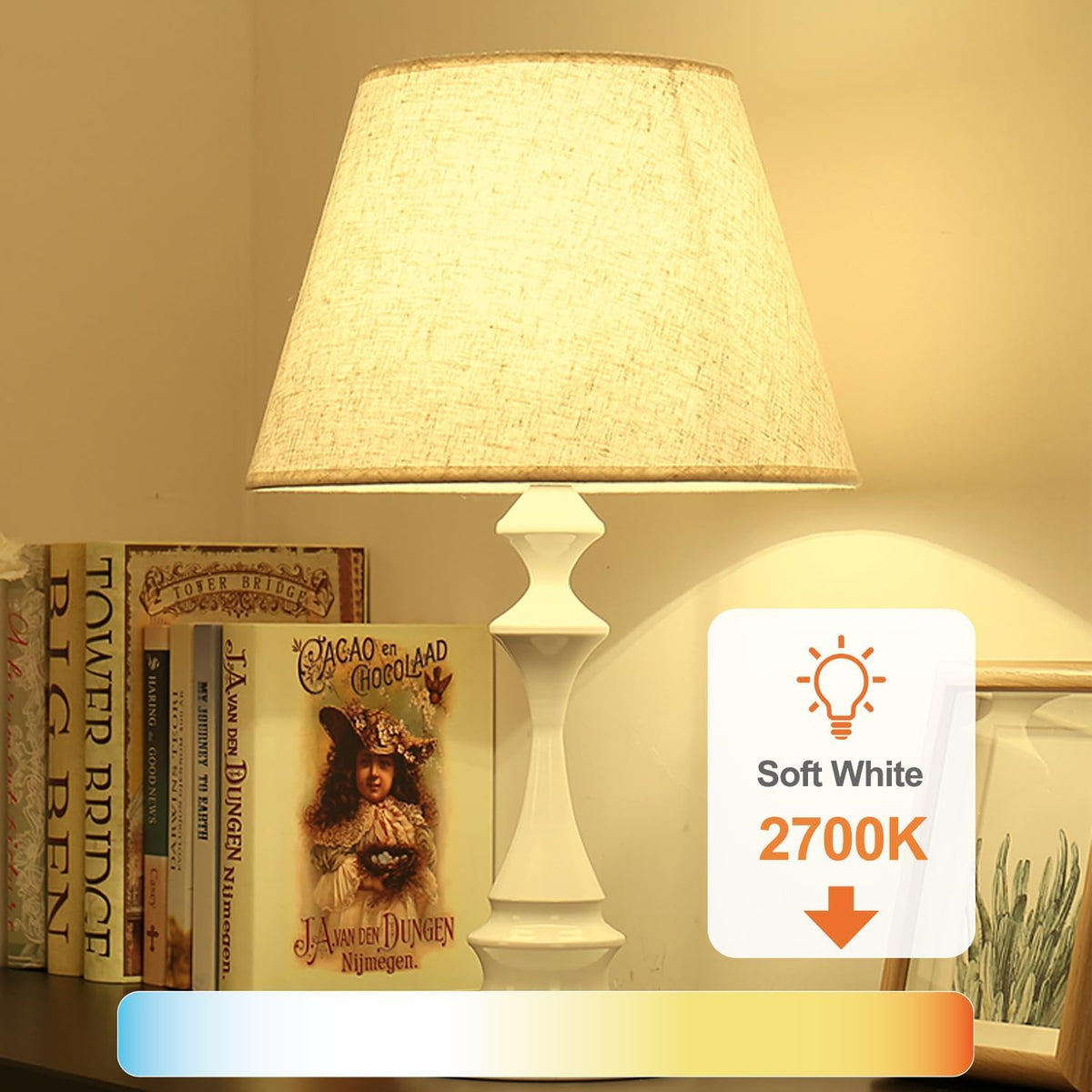 A19 LED Light Bulb (2700k Soft White / 3 Pack)