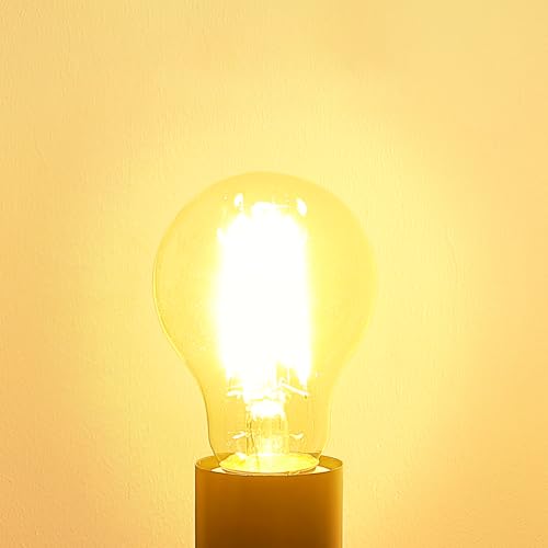 Vintage E26 Light Bulb