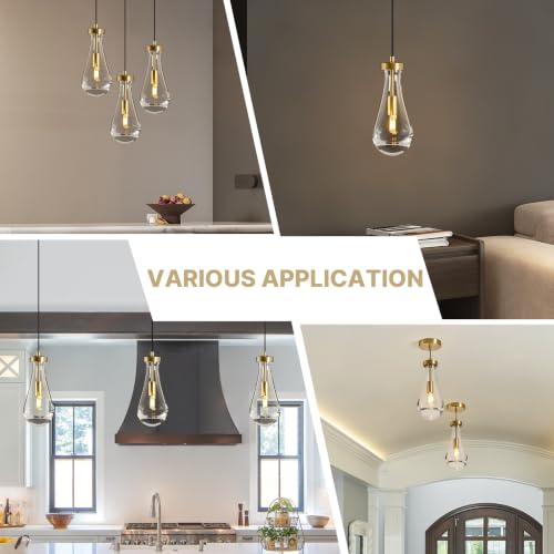 Raindrop Pendant Light
