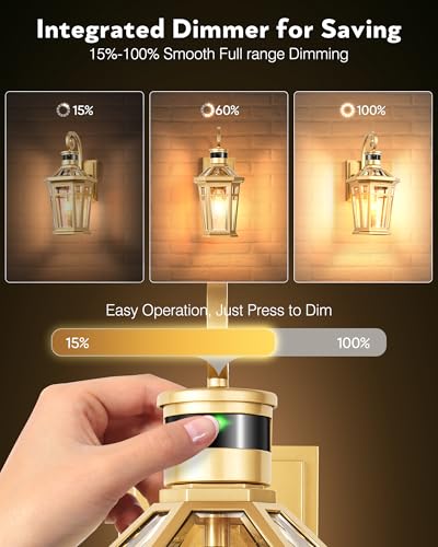Motion Sensor Outdoor Wall Lights (Gold / 2-Pack)