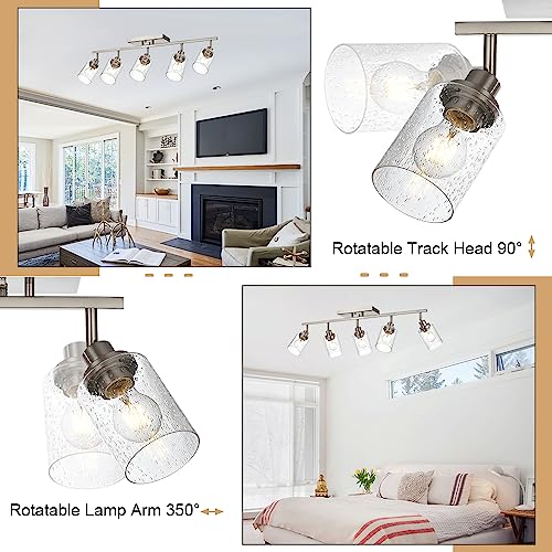 5 Light Track Lighting Kit (Brushed Nickel / 5-Light)