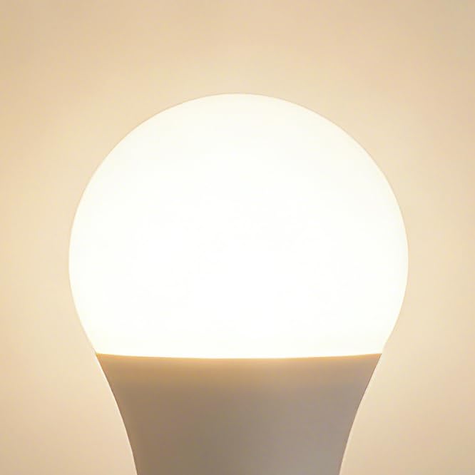 A19 60W 5000K Daylight White 4