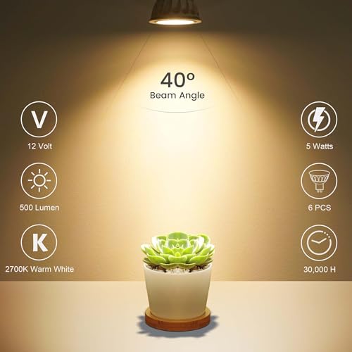MR16 LED Bulbs
