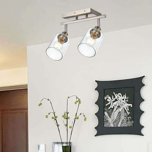2 Light Track Lighting Fixtures Ceiling (Brushed Nickel / 2 Lights)