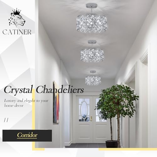 12" Chrome Crystal Chandelier (Small Chrome)